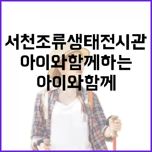 아이와 함께하는 서천 조류생태전시관 탐방
