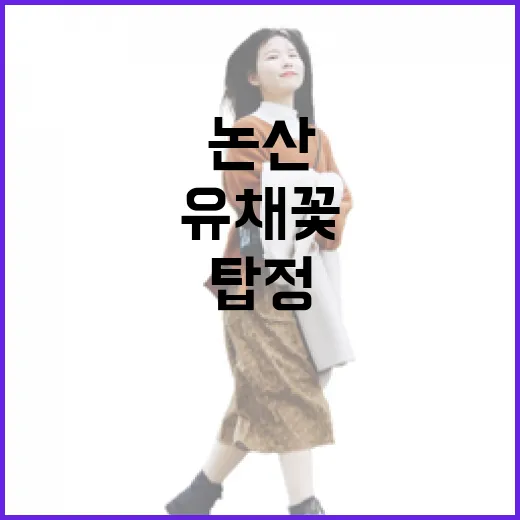 논산 탑정 체육공원 유채꽃 만개 풍경