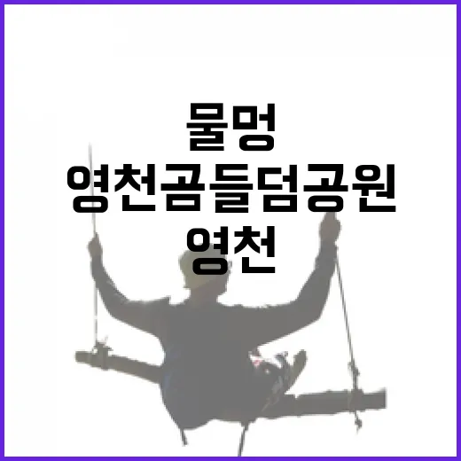영천 곰들덤공원, 물멍과 힐링의 명소