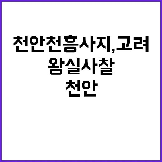 천안 천흥사지, 고려 왕실사찰의 역사와 발굴