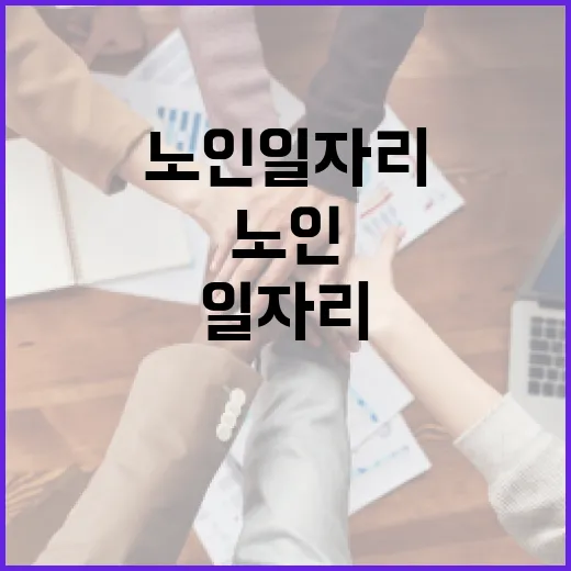 노인 일자리 지원, 희망의 사다리