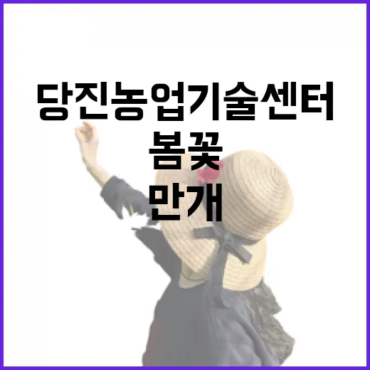 당진 농업기술센터 봄꽃 만개 풍경