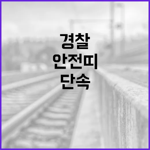 안전띠 미착용 뒷좌석 사망률 9배 급증, 경찰 단속 강화
