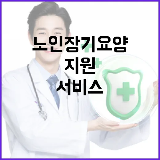 노인 장기요양 서비스 지원 안내