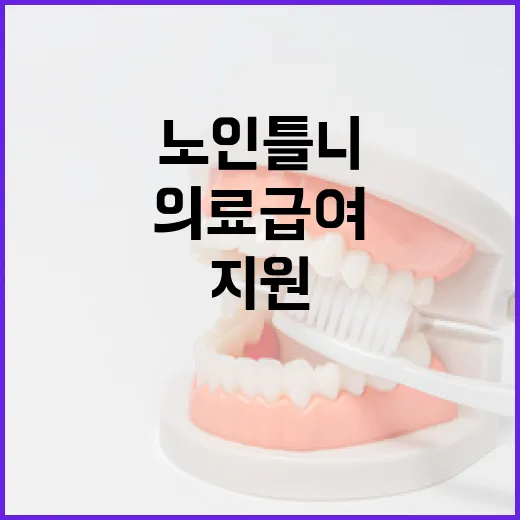 의료급여 노인 틀니 지원, 희망의 사다리