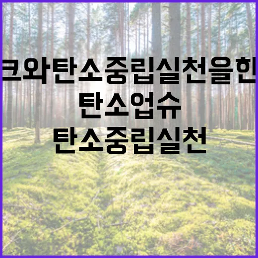 짠테크와 탄소중립 실천을 한번에 탄소업슈