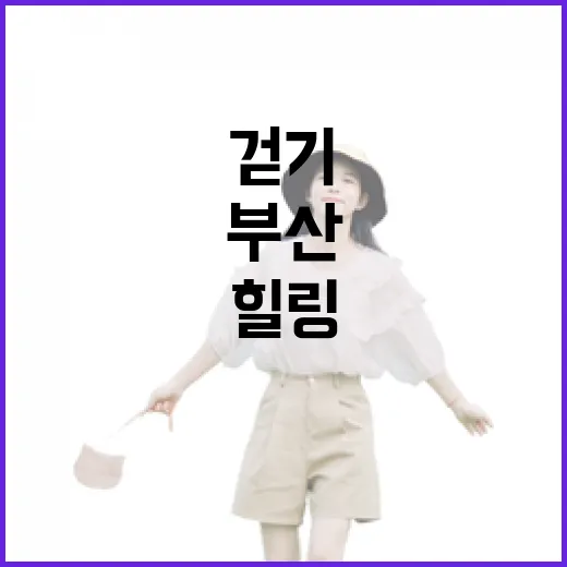 부산 맨발 걷기 명소 3선, 자연과 힐링의 여정