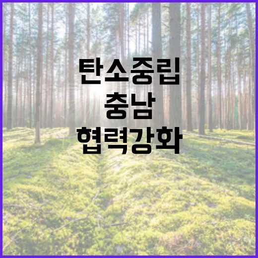 충남, 아시아 탄소중립 협력 강화 나서