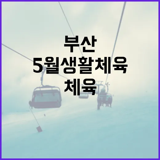 부산 5월 생활체육 대축제, 시민 건강과 화합의 장