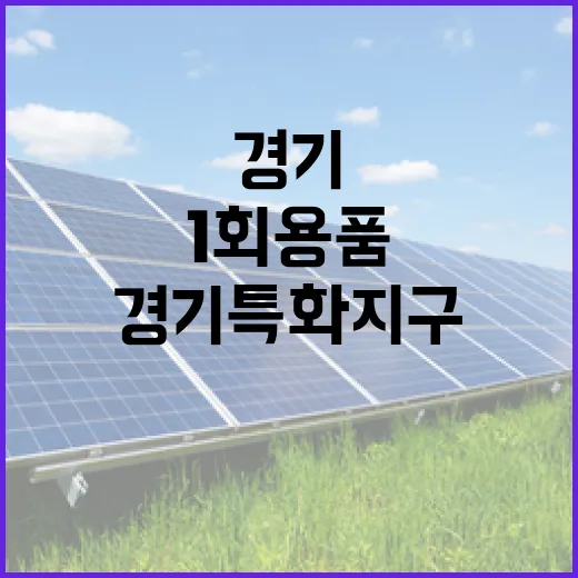 경기 특화지구 1회용품 제로 도전, 가톨릭대 95% 회수율 눈길