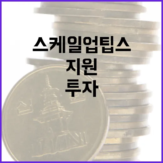 AI 집중 투자, 스케일업 팁스 지원 확대