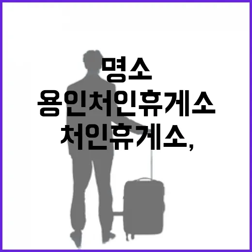 용인 처인휴게소, 하늘 위 복합문화 명소로 주목