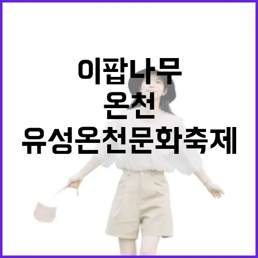 이팝나무 흐드러진 유성온천 문화축제 현장