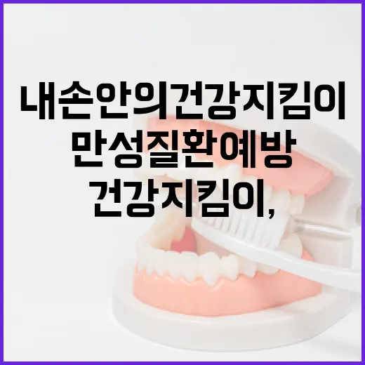 내 손안의 건강지킴이, 만성질환 예방 시작