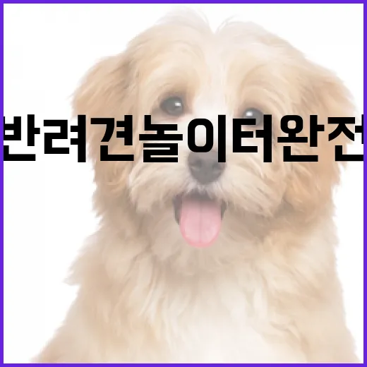 충북 반려견 놀이터 완전 정복