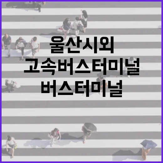울산 시외·고속버스터미널 완전정복
