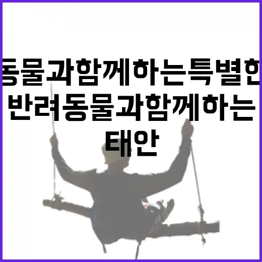 5월 태안, 반려동물과 함께하는 특별한 여행