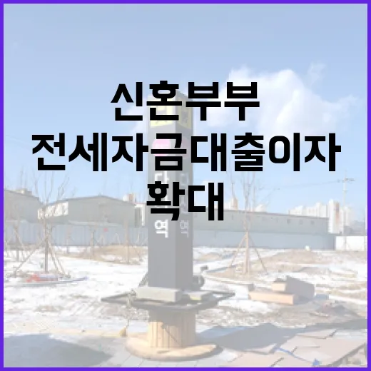 신혼부부 전세자금 대출이자 지원 확대