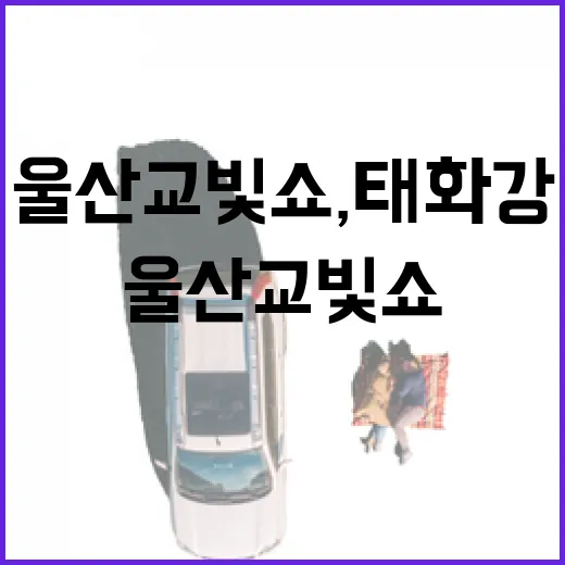 울산교 빛쇼, 태화강 밤하늘을 수놓다