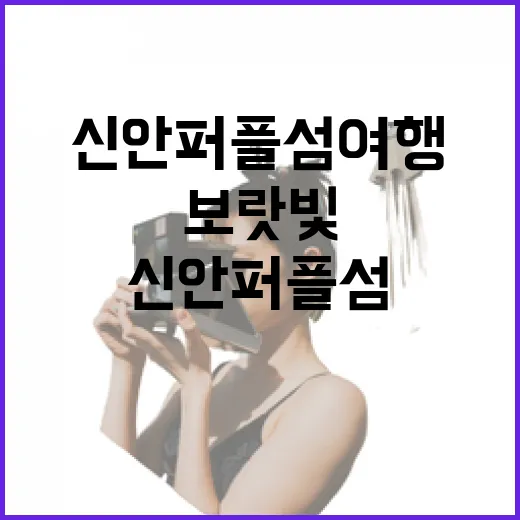보랏빛 매력 가득한 신안 퍼플섬 여행