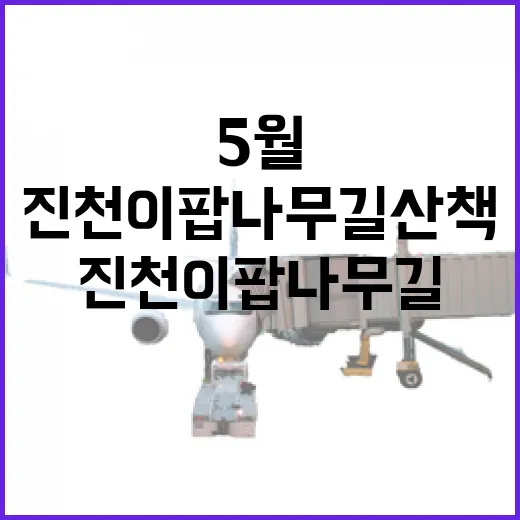 5월 눈꽃 만개 진천 이팝나무길 산책