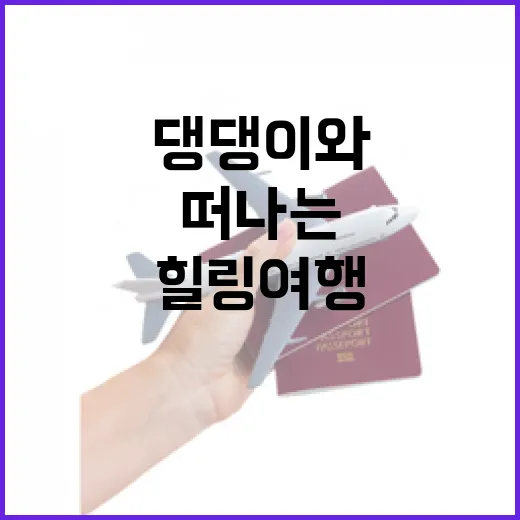 댕댕이와 떠나는 태안 힐링 여행