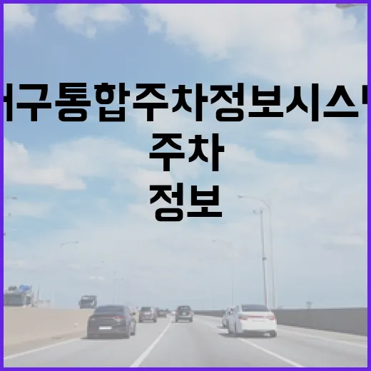 대구 통합주차정보시스템 실시간 주차 확인