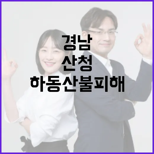 경남 산청·하동 산불 피해 복구 총력