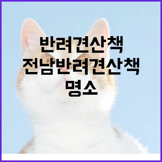 전남 반려견 산책 필수 수칙과 명소