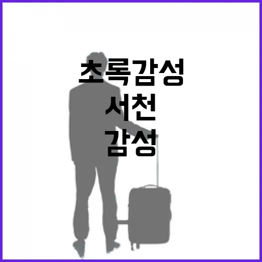 초록 감성 가득한 서천 여행 8선
