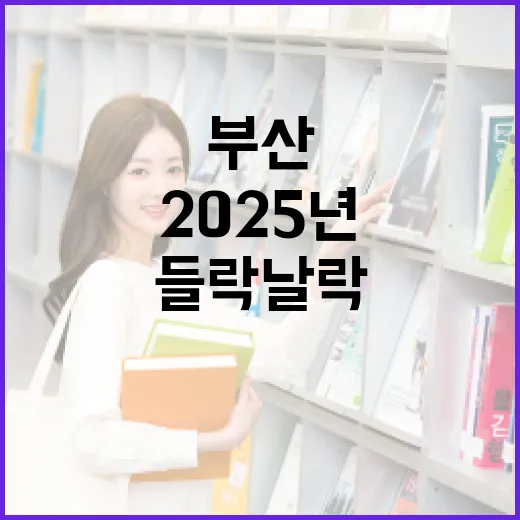 2025년 부산 들락날락 현황 총정리