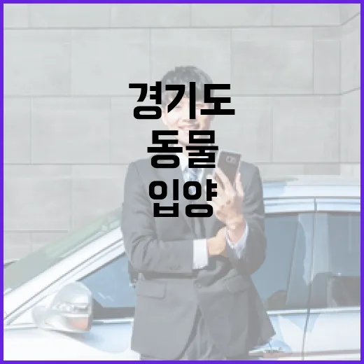 경기도 입양동물 보험 지원 사업 확대