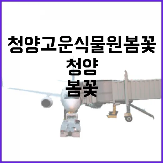 봄바람 속 공주 1박2일 힐링여행
