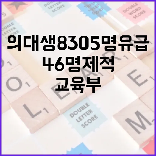 의대생 8305명 유급·46명 제적 확정, 교육부 복귀 지원 총력