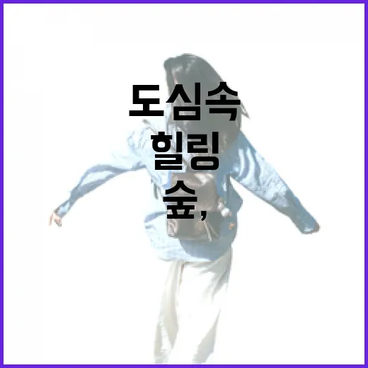 천안 시민의 숲, 도심 속 자연 힐링 산책