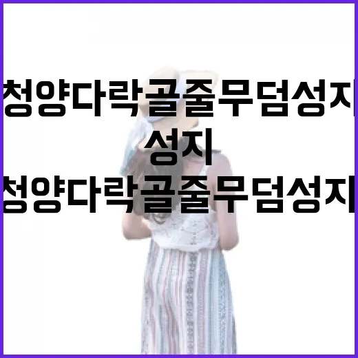 청양 다락골줄무덤성지, 봄꽃과 순교의 역사