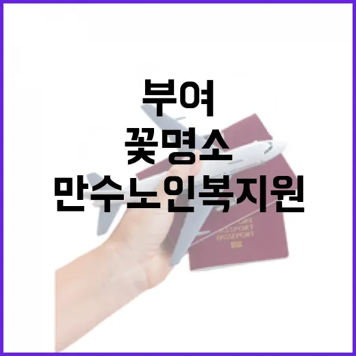 부여 만수노인복지원 봄꽃 명소