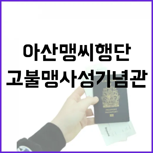 아산 맹씨행단과 고불 맹사성기념관 봄 풍경
