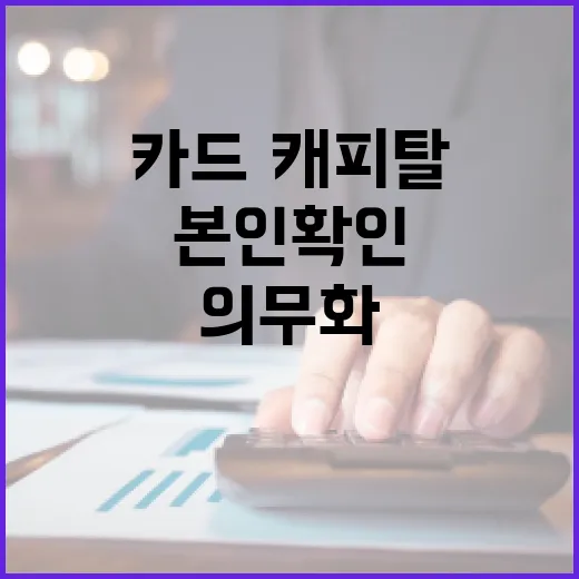 카드·캐피탈·대부업 본인확인 의무화 추진