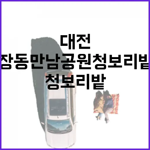 대전 장동만남공원 청보리밭 봄 풍경