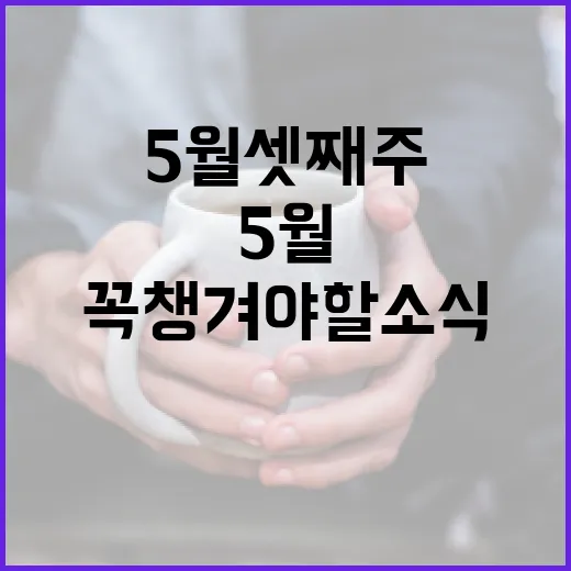 광주 5월 셋째 주, 꼭 챙겨야 할 소식