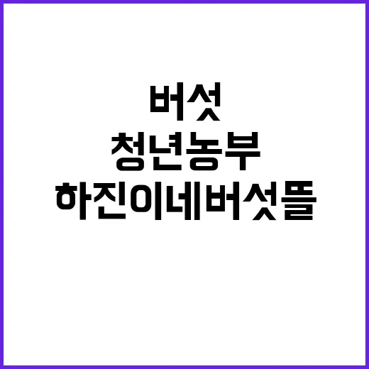 서산 하진이네 버섯…