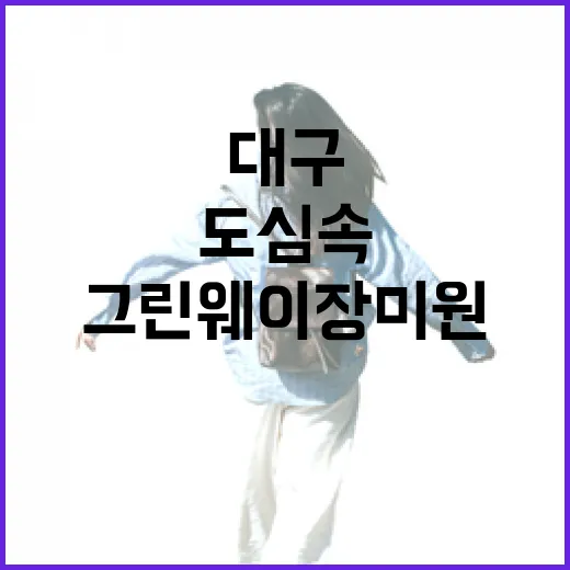 대구 그린웨이 장미원, 도심 속 꽃의 향연