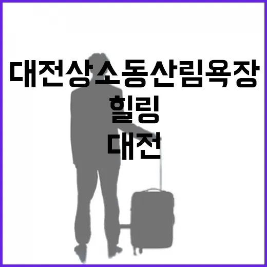 대전 상소동산림욕장, 자연과 힐링의 새 얼굴