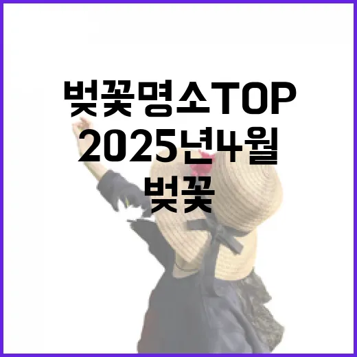 2025년 4월 벚꽃 명소 TOP3 공개