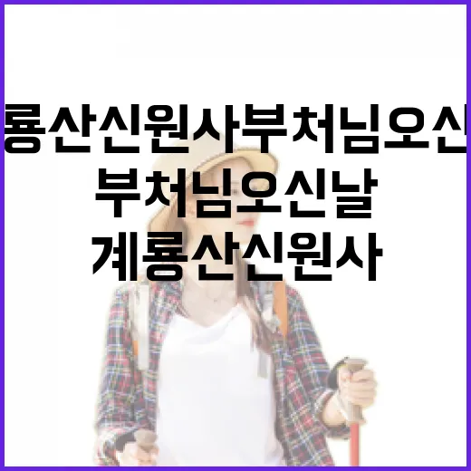계룡산 신원사 부처님오신날 풍경