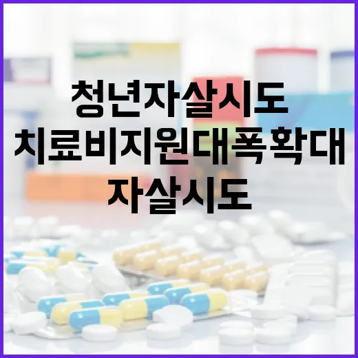 청년 자살시도 치료비 지원 대폭 확대