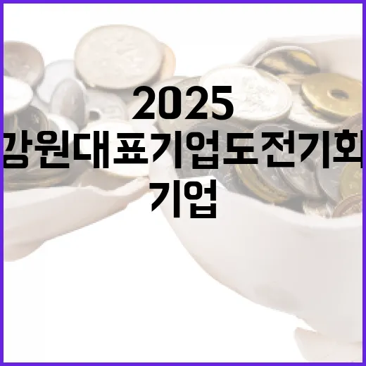 2025 강원 대표기업 도전 기회 열렸다