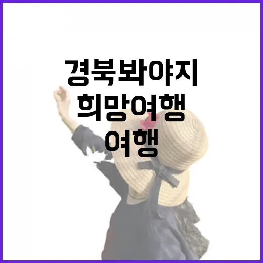 경북 북부 희망여행, 경북 봐야지