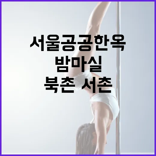 서울 공공한옥 밤마실, 북촌·서촌서 문화 향연